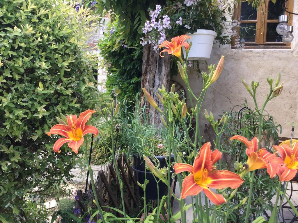 Le Clos De Fernande Corcelles-les-Arts Buitenkant foto